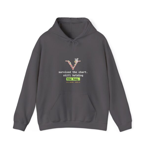 Survived the Chart. Still Holding the Bag. hoodie in Charcoal Survived the Chart. Still Holding the Bag. hoodie in Charcoal